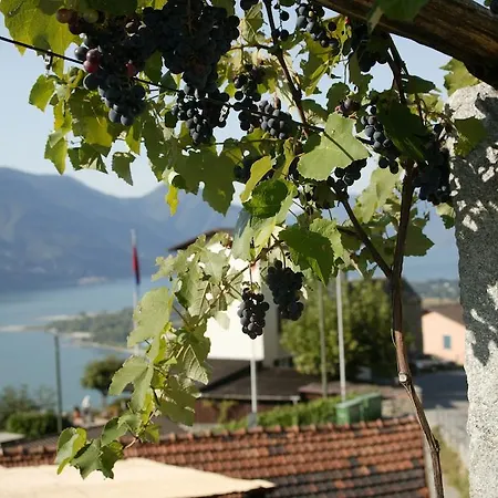 Garten Dellavalle فندق
